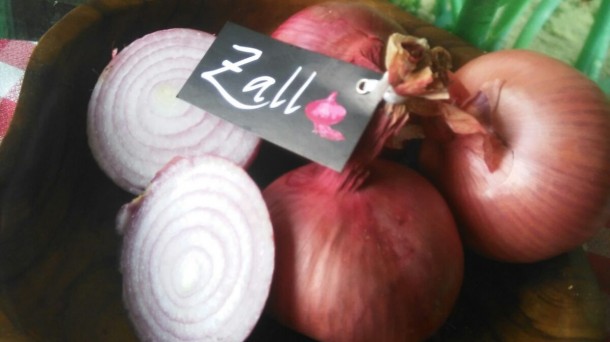 Buena calidad de la cebolla roja de Zalla este año