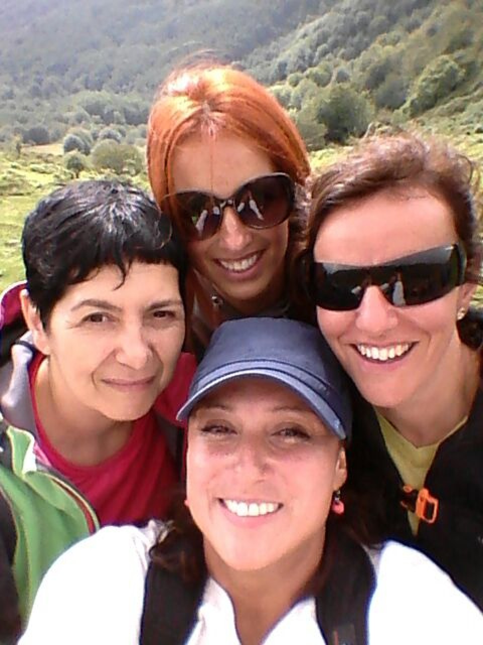 Lady eta lagunen selfiea