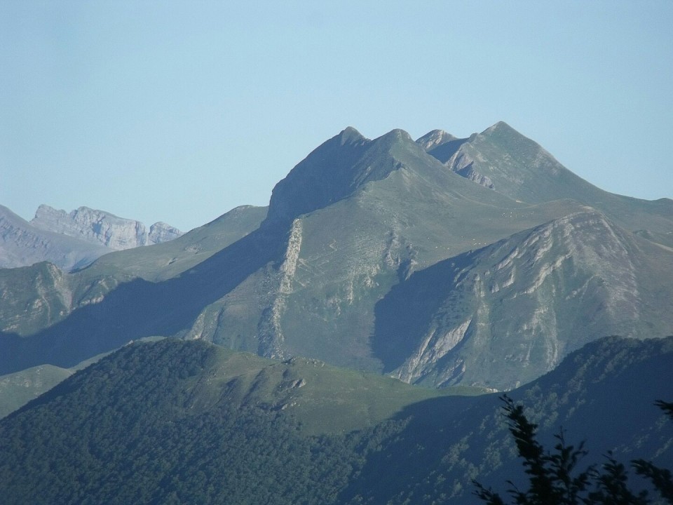 Aitzol Pinok Iratitik bidalitako Orhiko argazkia.