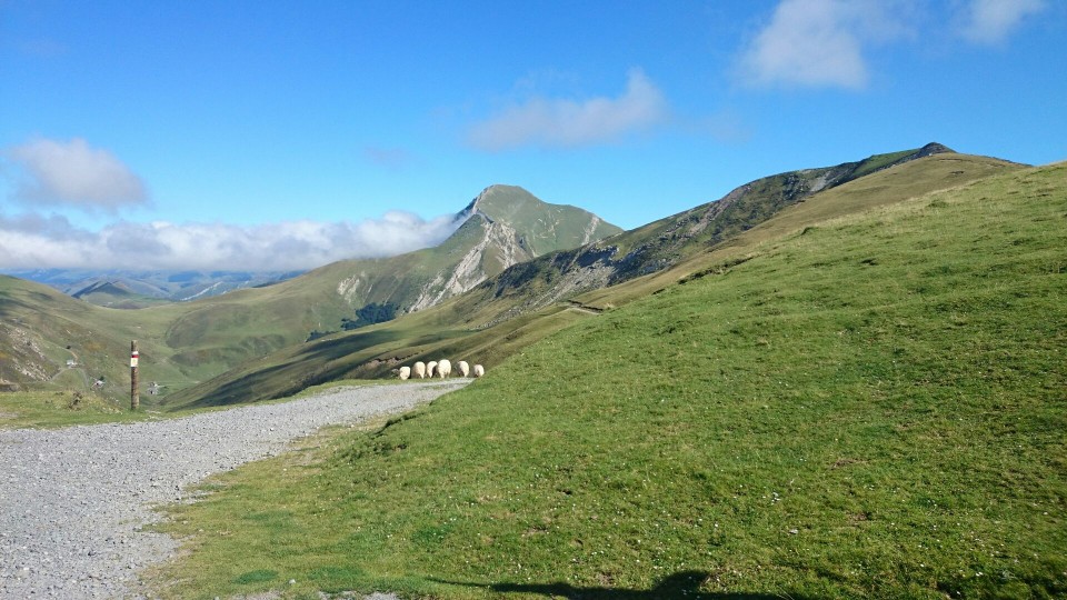 Aitzol Pinok Iratitik bidalitako Orhiko argazkia.