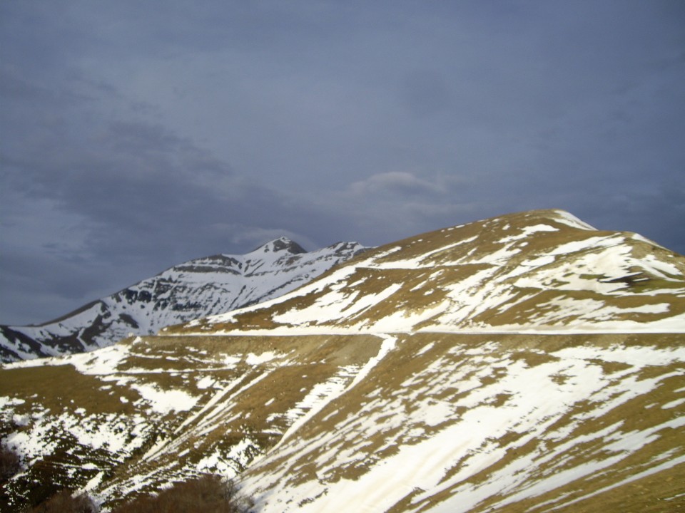 Angel Irisok Iratitik bidalitako Orhiko argazkia.