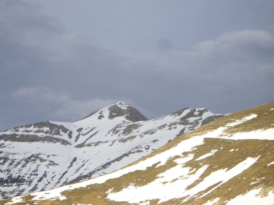Angel Irisok Iratitik bidalitako Orhiko argazkia.