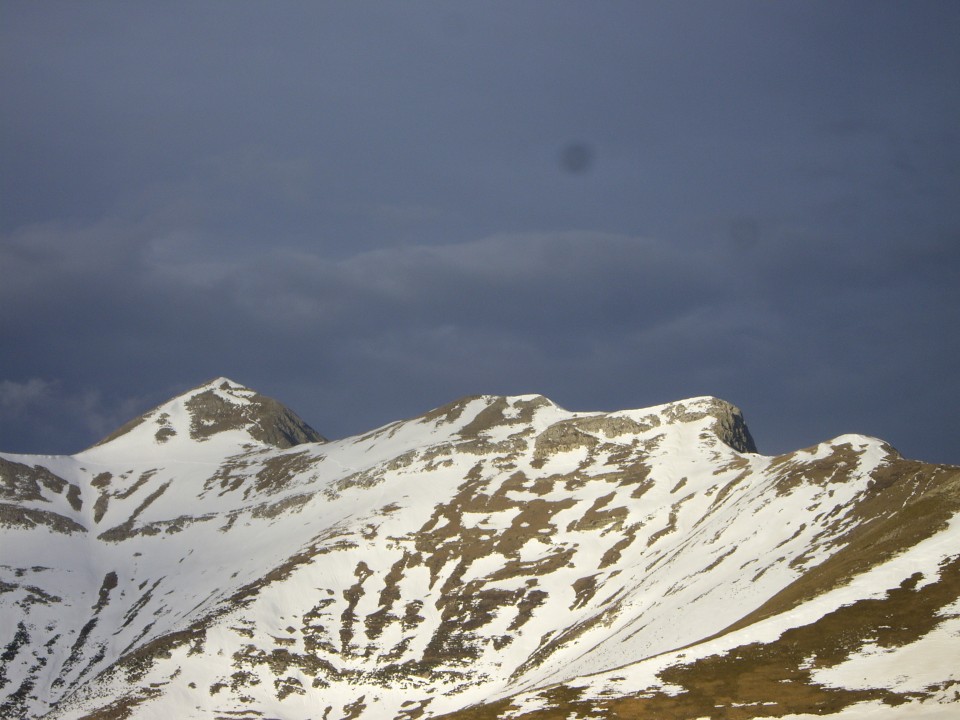 Angel Irisok Iratitik bidalitako Orhiko argazkia.