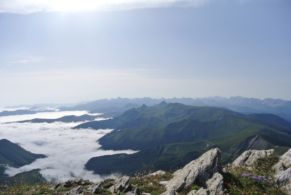 Lorea Berasategik Orhitik bidalitako argazkia