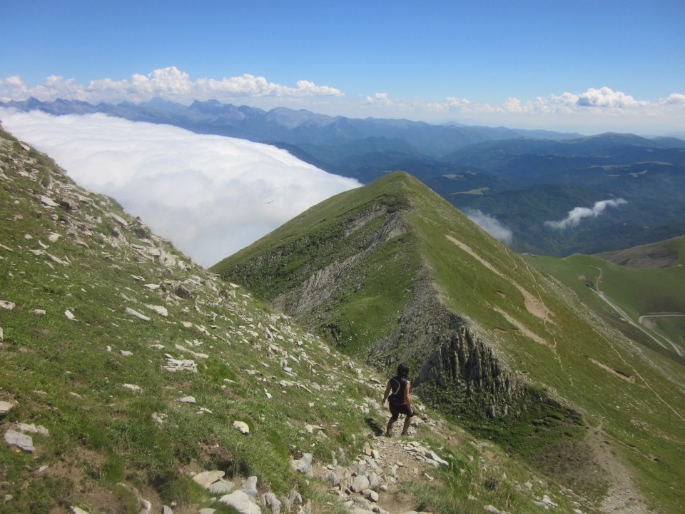 Oihana Mindegia Orhitik bidalitako argazkia.
