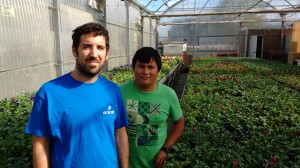 Karabeleko: Nekazaritza ekologikoa buru gaitzei aurre egiteko