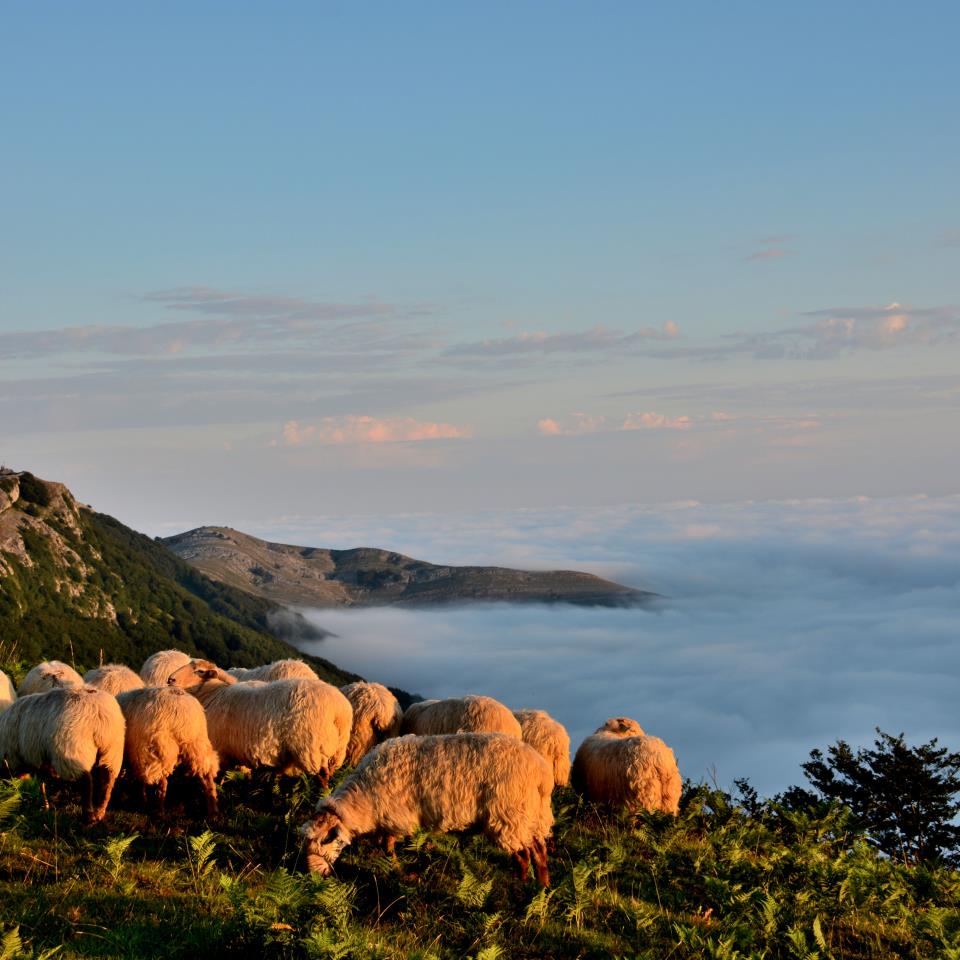 Hernio. Txomin Rezolaren argazkia