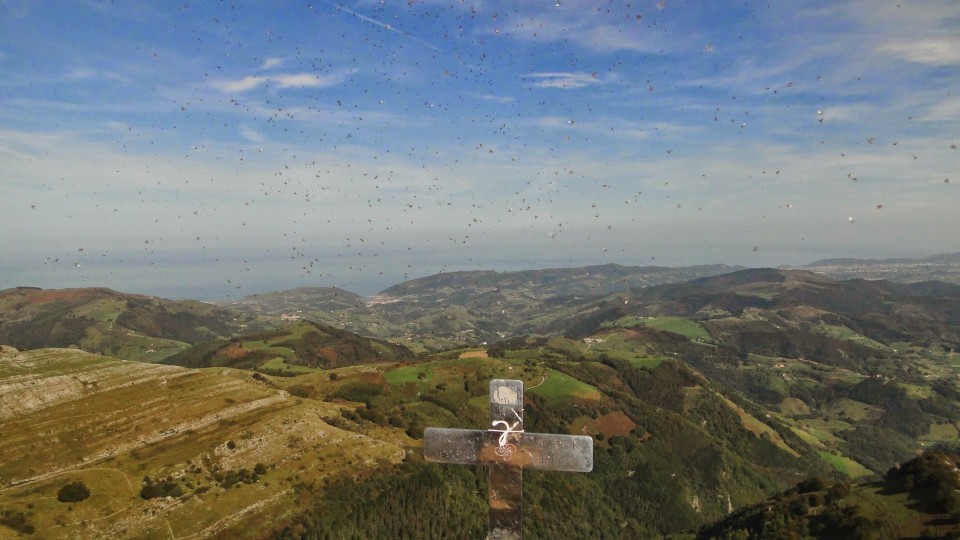 Herniotik dagoen ikuspegia. Iñaki Muniainek bidalitako argazkia