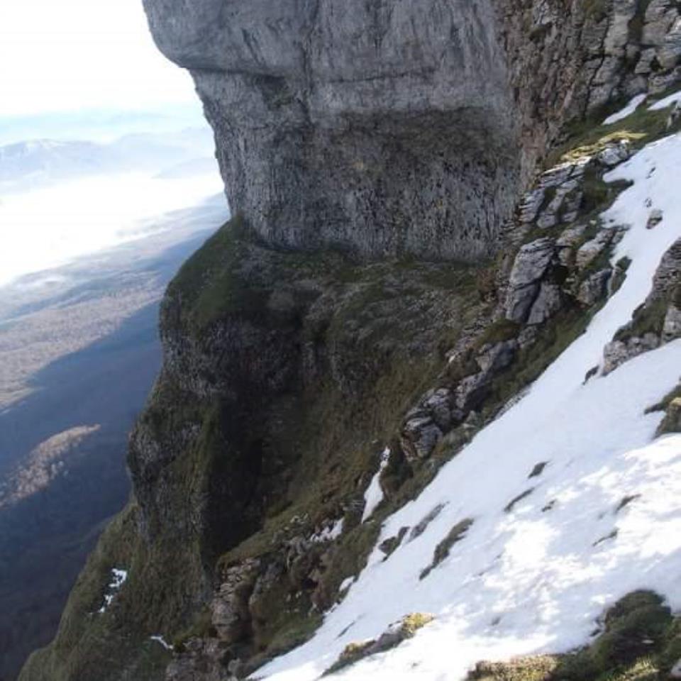 Beriain elurtuta. Eneko Iradierren argazkia