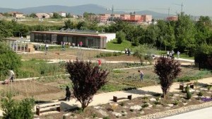 Batalla campal en los huertos ecológicos de Olarizu