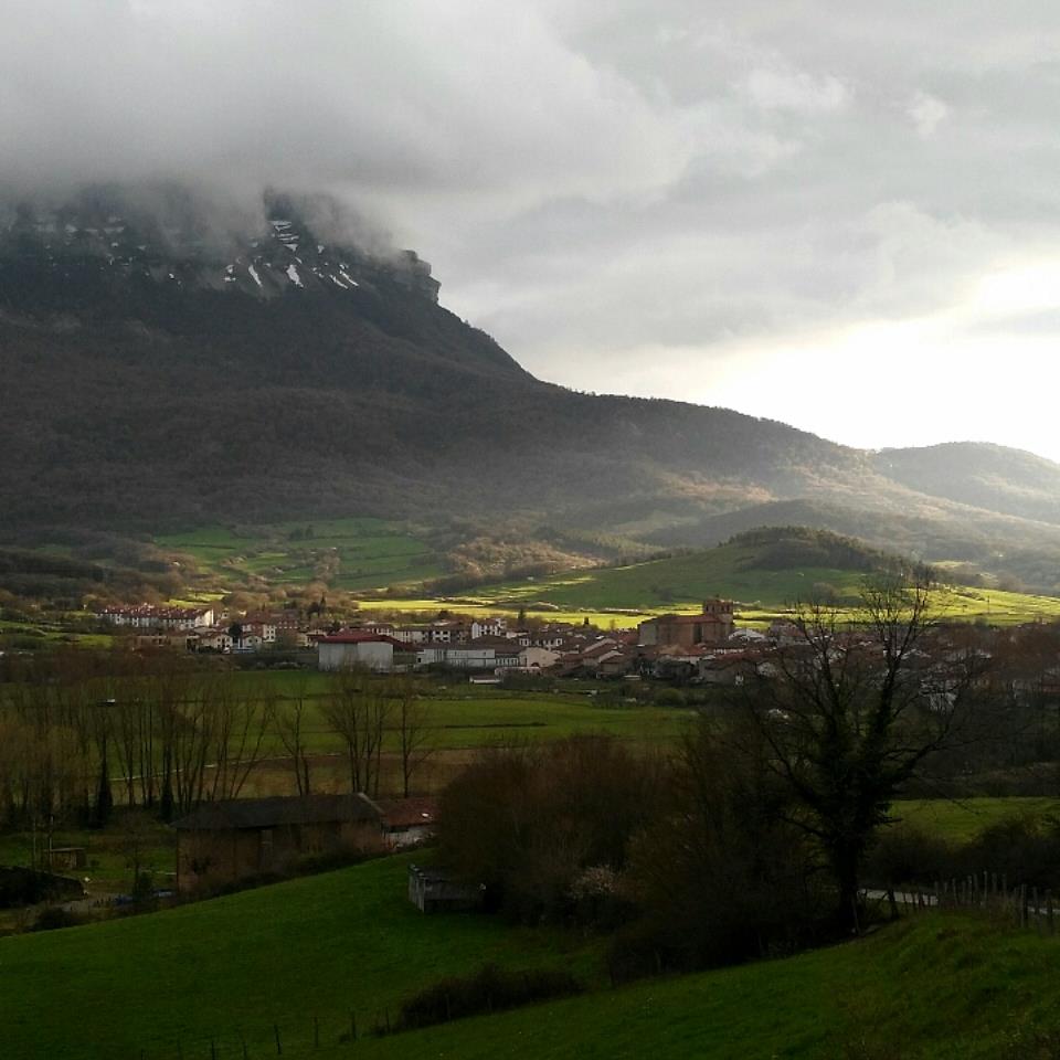 Beriain lainotuta. Ainhoa Errazkinen argazkia.