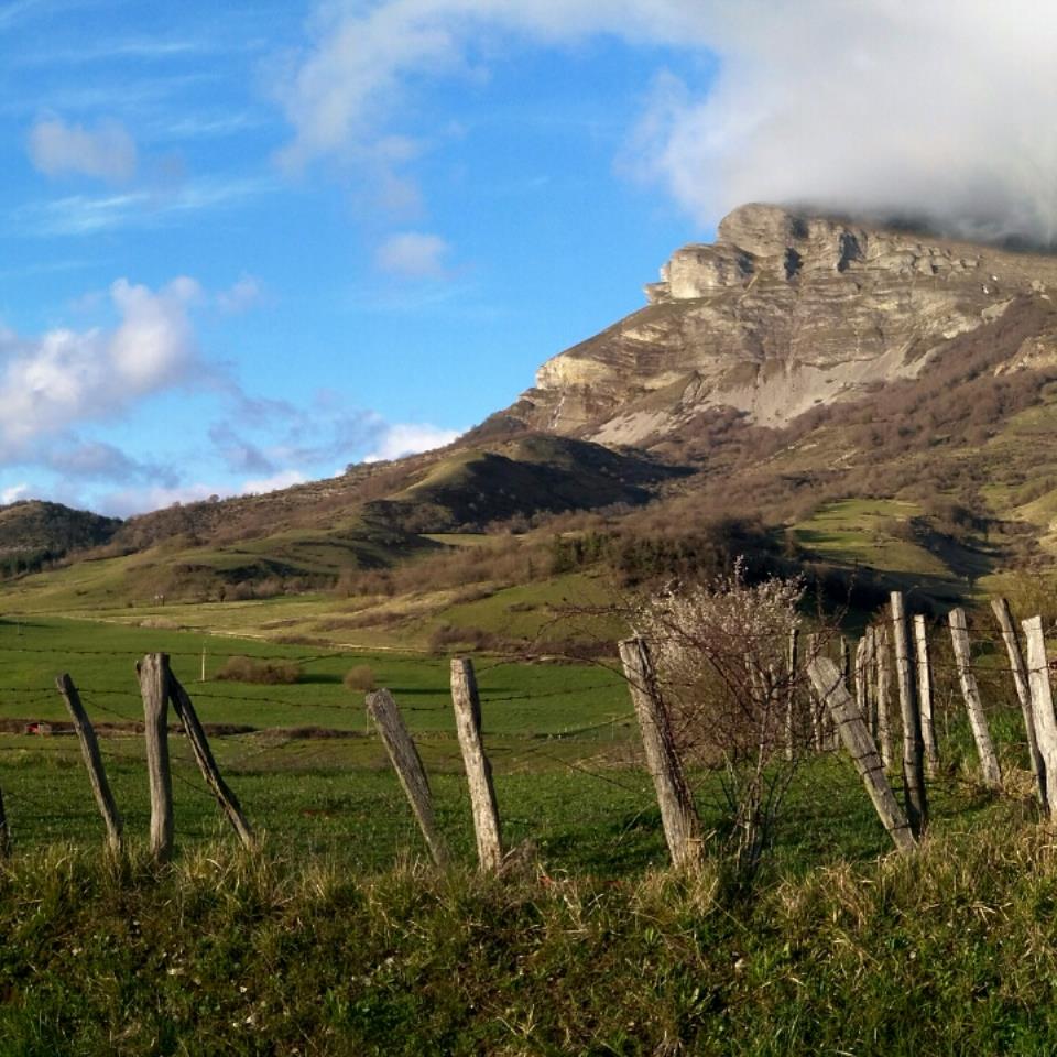 Beriain lainotuta. Ainhoa Errazkinen argazkia
