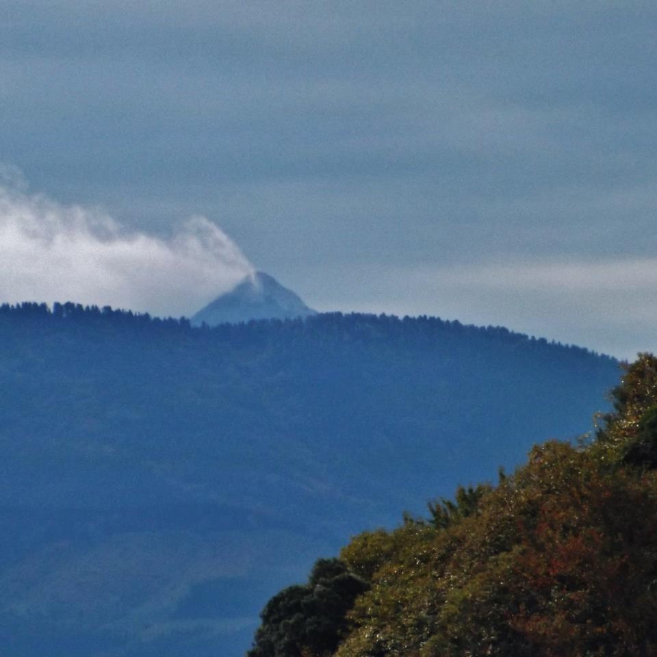 Urrunean Anbotoren tontorra ikusten da. Jon Arrueren argazkia.
