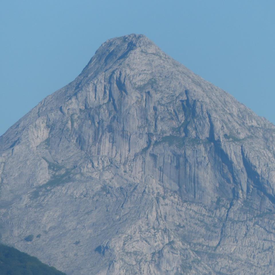 Roberto Plazaolaren argazkia.