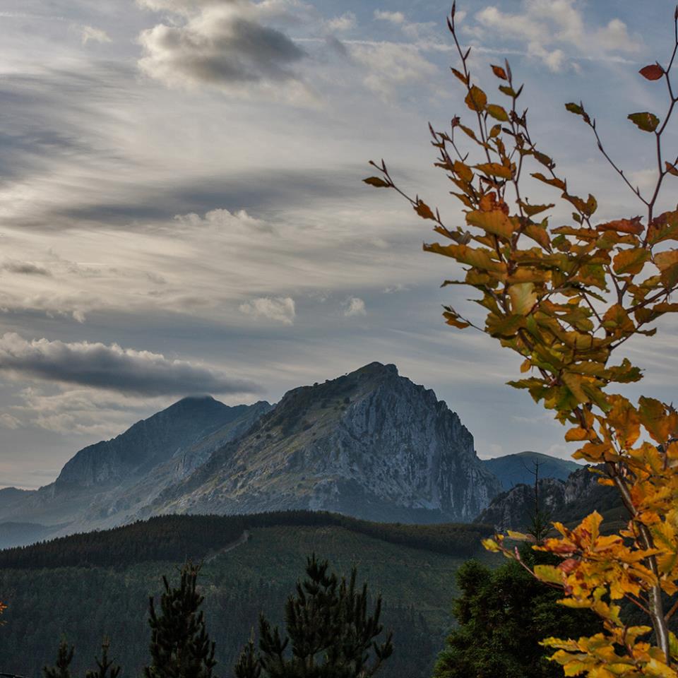 Imanol Aragonen Anbotoko argazkia.
