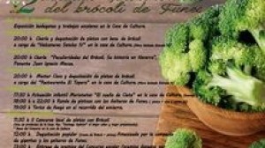 Buenas previsiones para la campaña del brócoli en Navarra