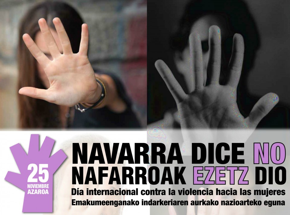 Violencia de género en Navarra