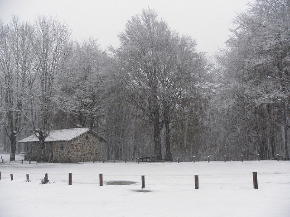 Nieve en Idiazabal. Foto: Egoitz Izagirre
