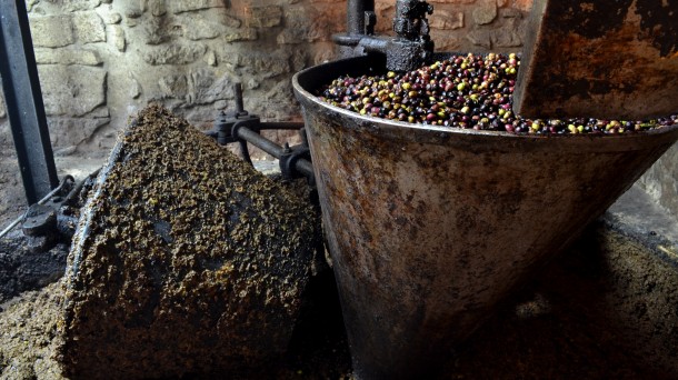 El histórico trujal de Lanciego empieza a molturar olivas