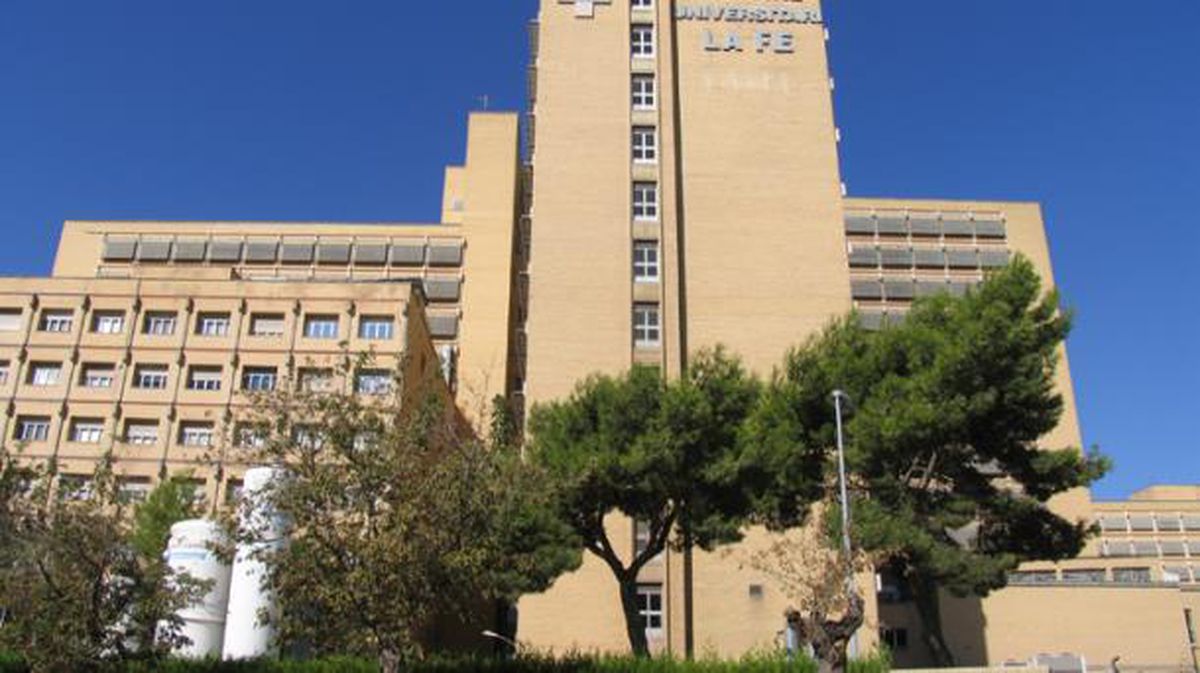 La hija de Majarenas se encuentra hopitalizada en el Hospital La Fe de Valencia. Foto: Wikipedia. 