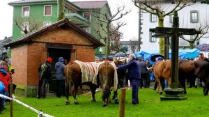 La feria de San Blas de Abadiño ofrecerá 250 cabezas de ganado