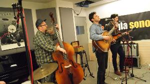 The Cactus Blossoms en directo