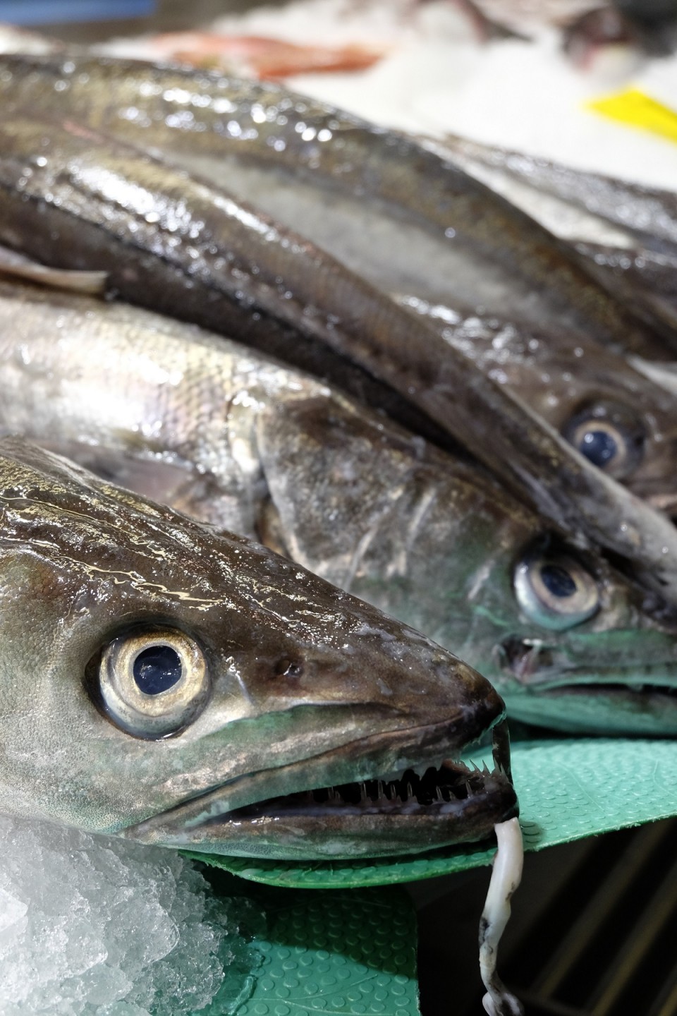 Erriberako Merkatua. Argazkia: Leire Etxazarra.