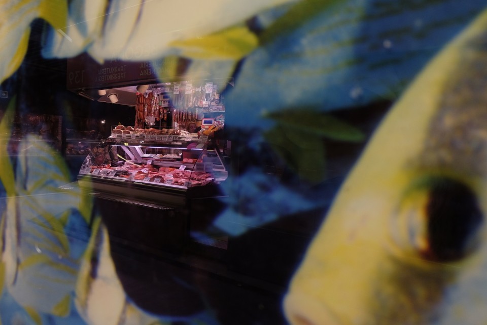 Erriberako Merkatua. Argazkia: Leire Etxazarra.