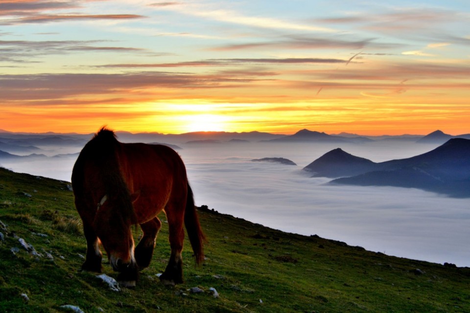 Aralar. Argazkia: Txomin Rezola