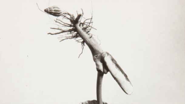 Escultura de Ángel Ferrant