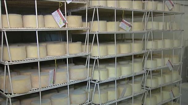 Txertaketarako erretxinaz, zumitzaz eta esne behi gaztak