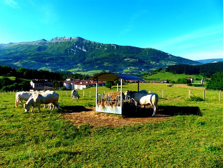 Oñati. Foto: Rober Plazaola