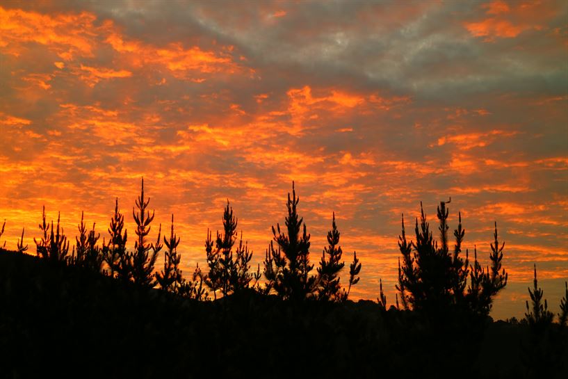 Iurreta. Foto: Txaro Ortiz de Zarate