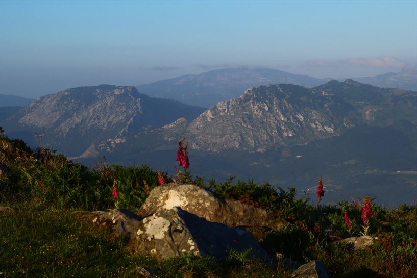 Oiz. Argazkia: Txaro Ortiz de Zarate