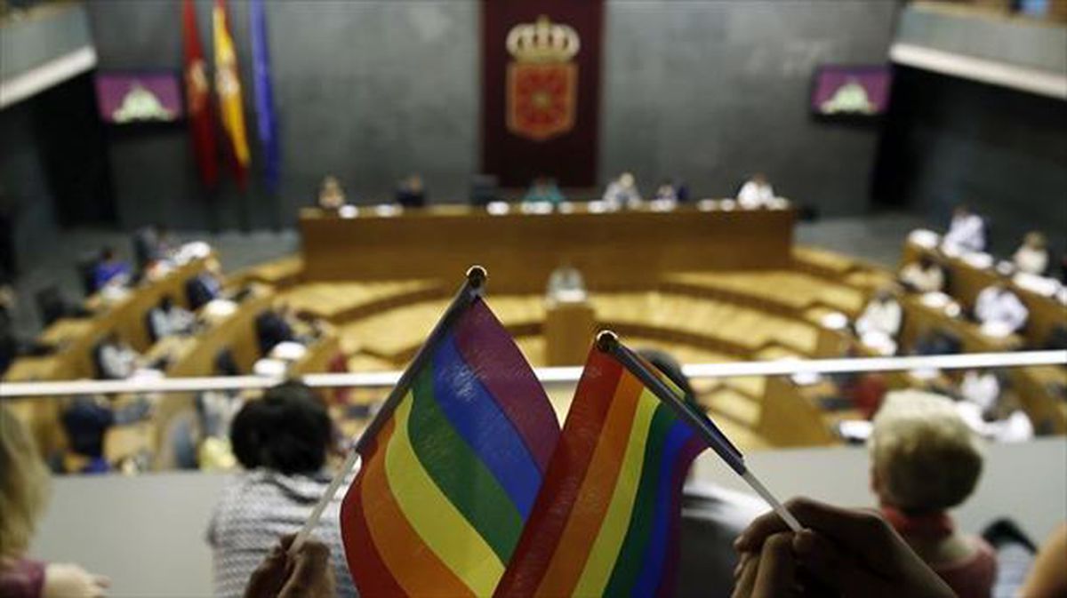 LGTBI kolektiboaren berdintasunerako legea adostu du Foru Parlamentuak