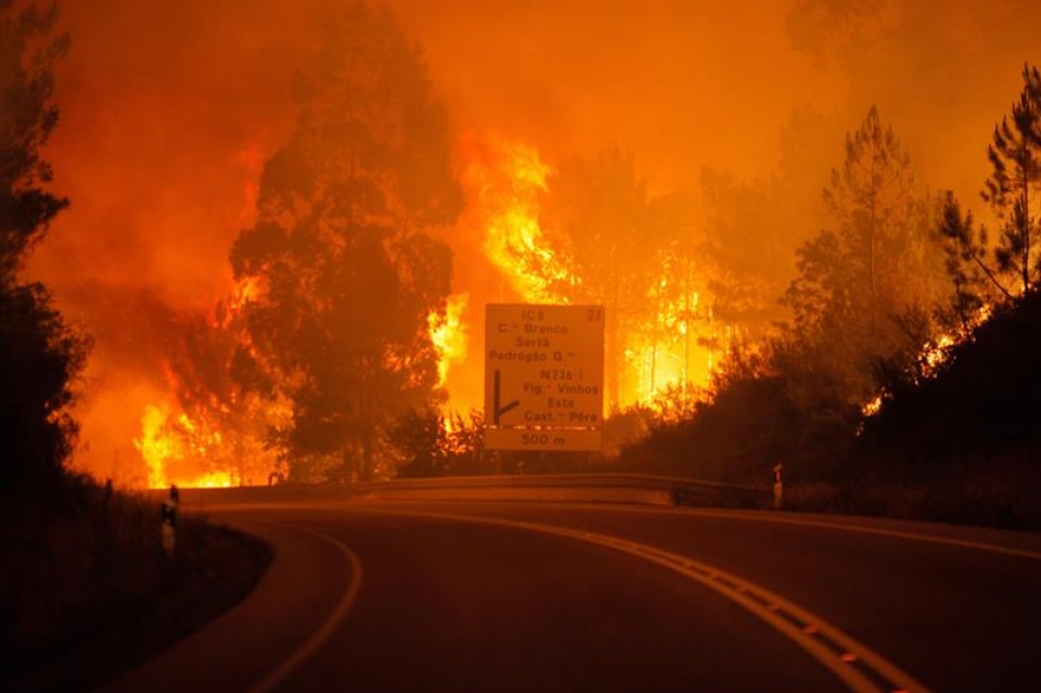 Al menos 61 muertos y 62 heridos en un devastador incendio en Portugal