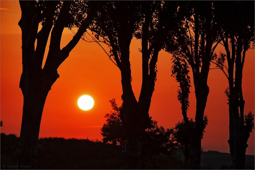 Zornotza. Argazkia: Imanol Aragon