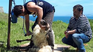 Galería de fotos de 'Historias a Bocados' en Lekeitio