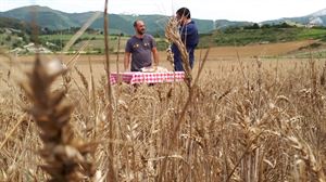 Galería de fotos de 'Historias a Bocados' en Agurain