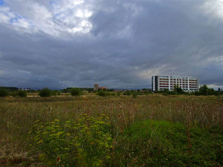 Argazkia: Jose Antonio Fernandez de Luco.