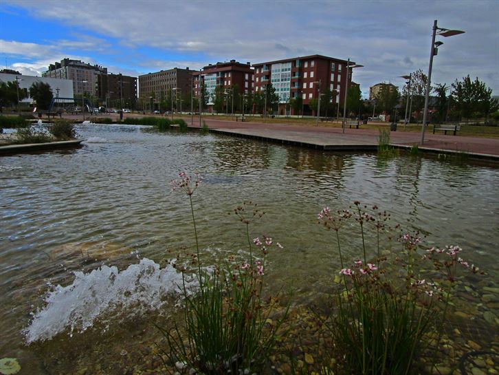 Argazkia: Jose Antonio Fernandez de Luco.
