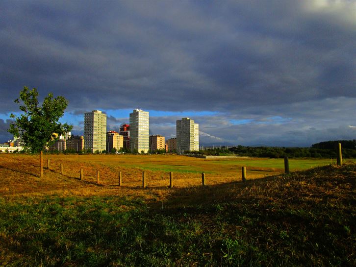 Argazkia: Jose Antonio Fernandez de Luco.