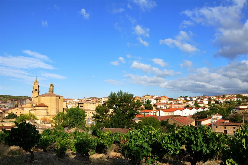 Elciego. Foto: Koldo Palacios.