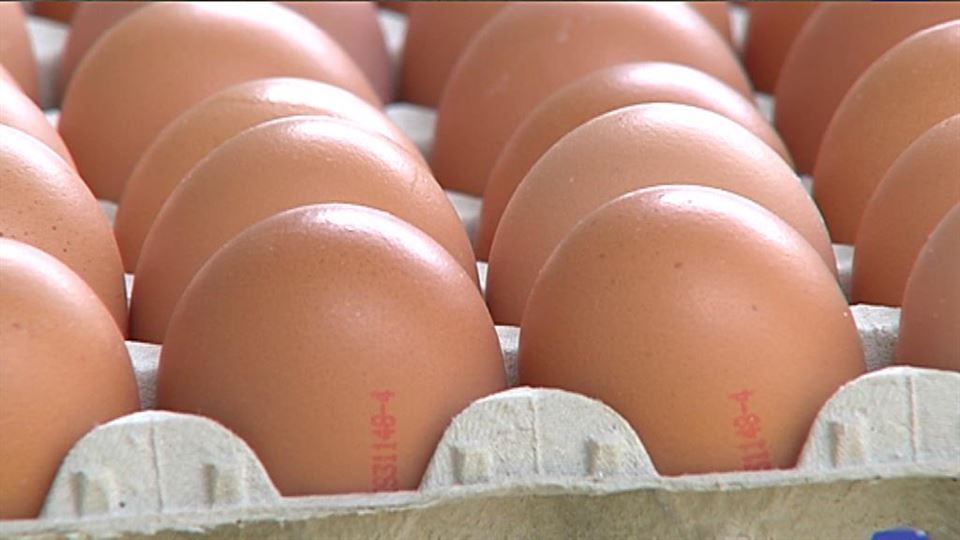 Ya son 18 los países afectados por huevos contaminados