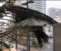 Maria urakanak kalte material 'larriak' egin ditu Puerto Ricon