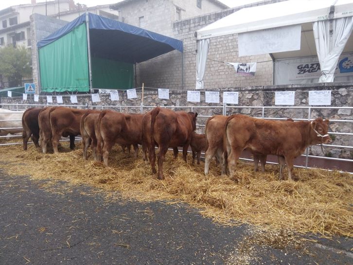 En la Feria de Ganado de Agurain,03.10.2017
