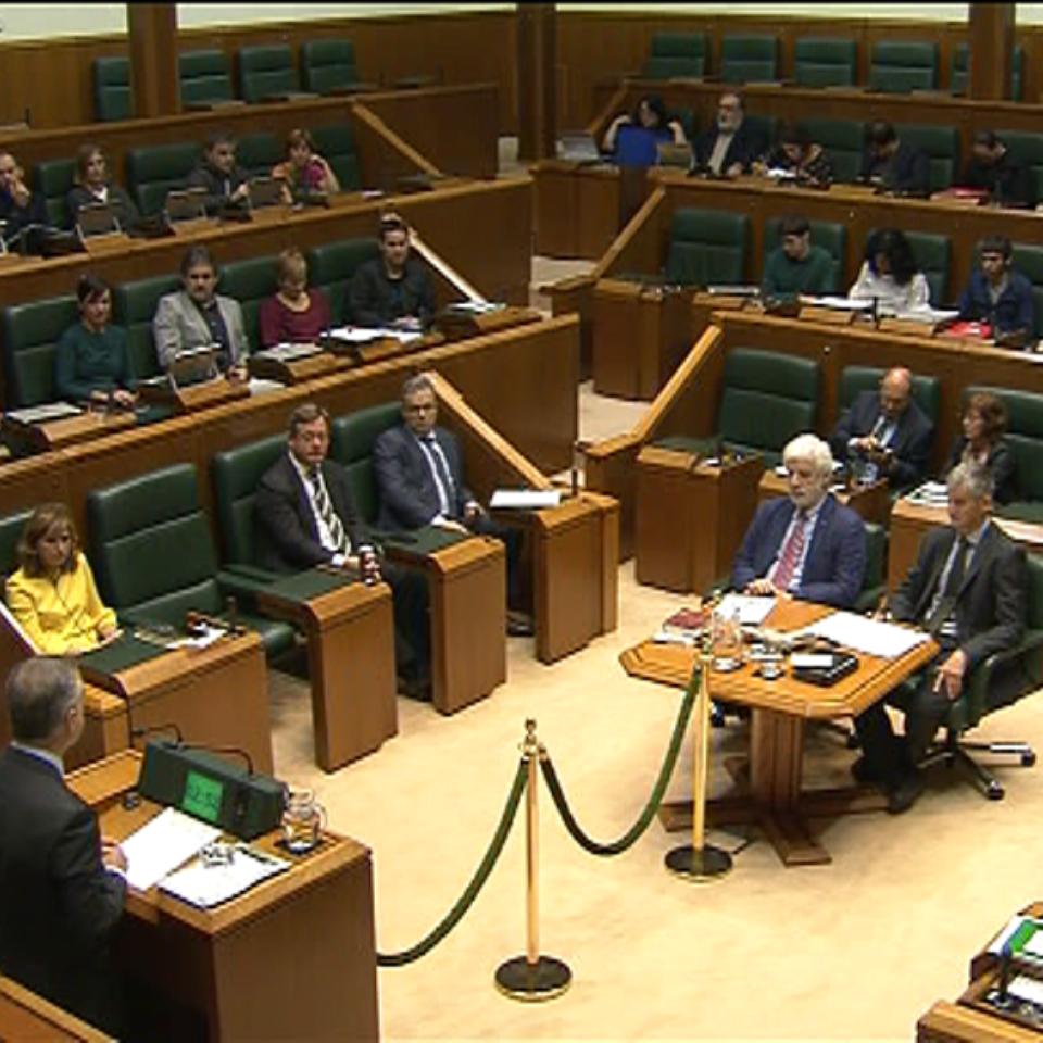 Captura de pantalla del Parlamento Vasco. Imagen: EiTB