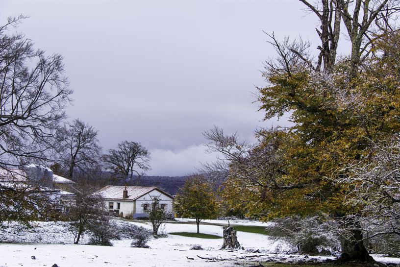 Ziordia. Javier Legaz