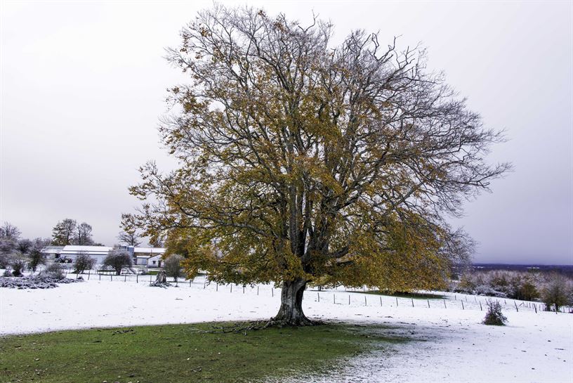 Ziordia. Javier Legaz