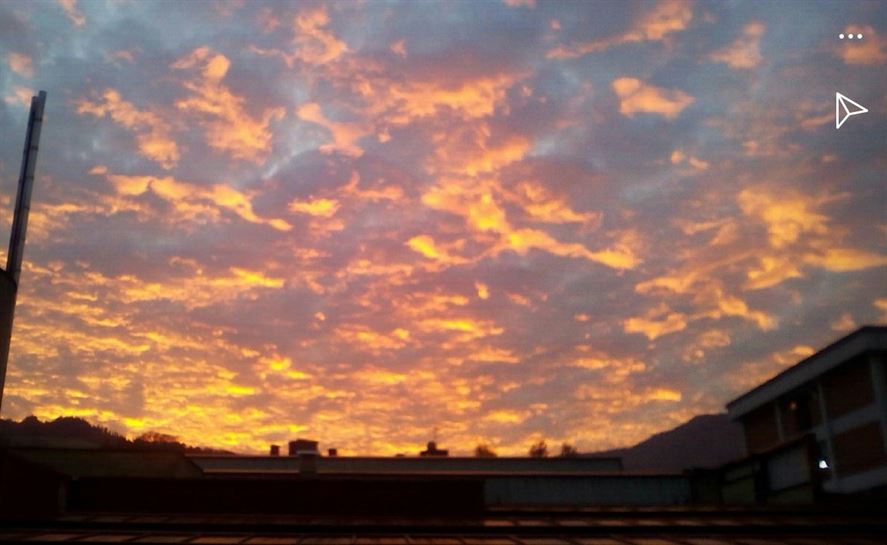 Elgoibar. Ane Kortaberria